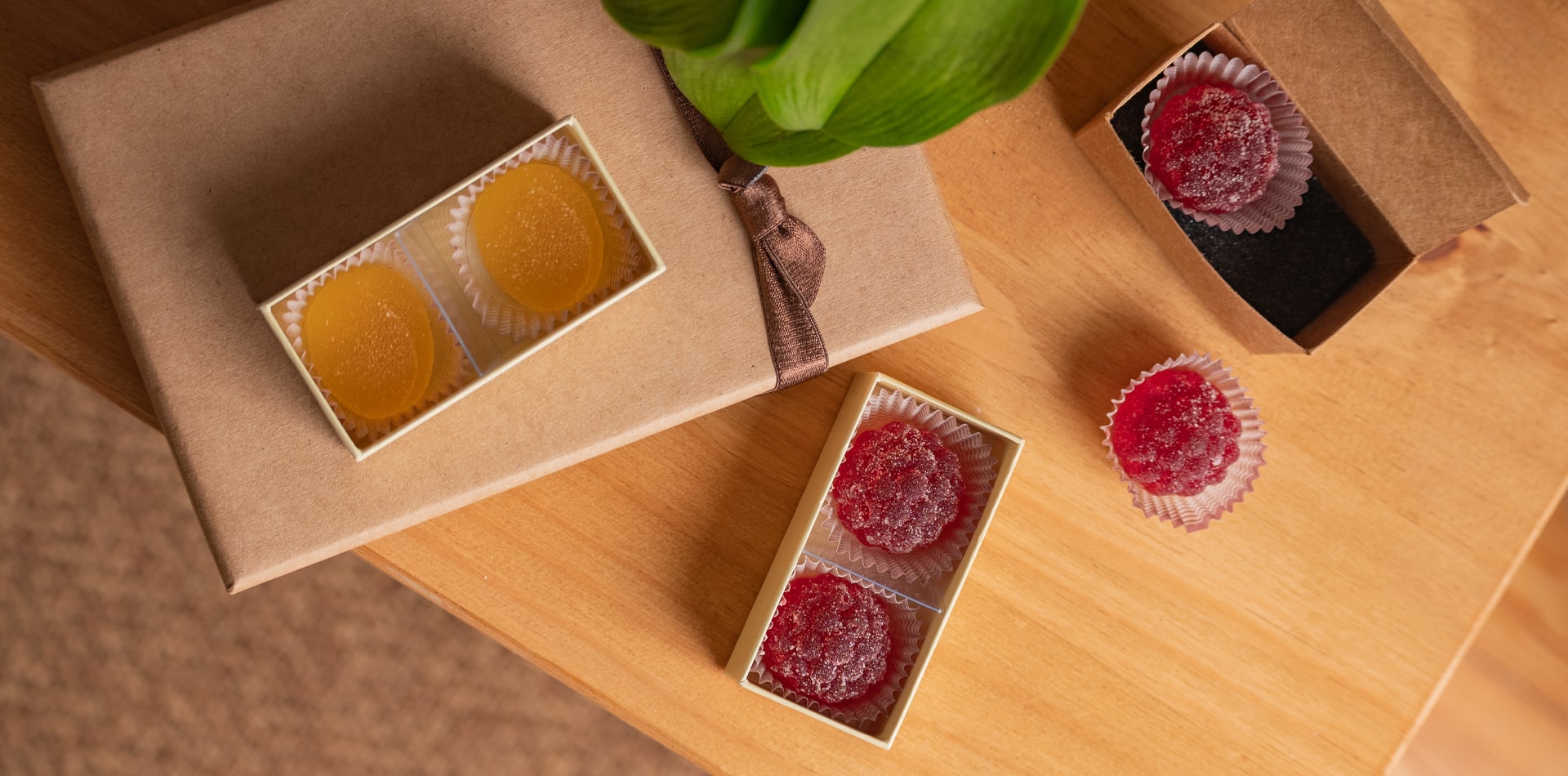 Torn Ranch Planta and Balotin boxes, sutainable packaging.